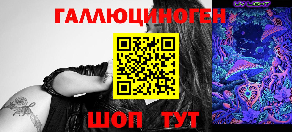 Подольск  Псилоцибиновые грибы Cubensis  Вход с VPN 